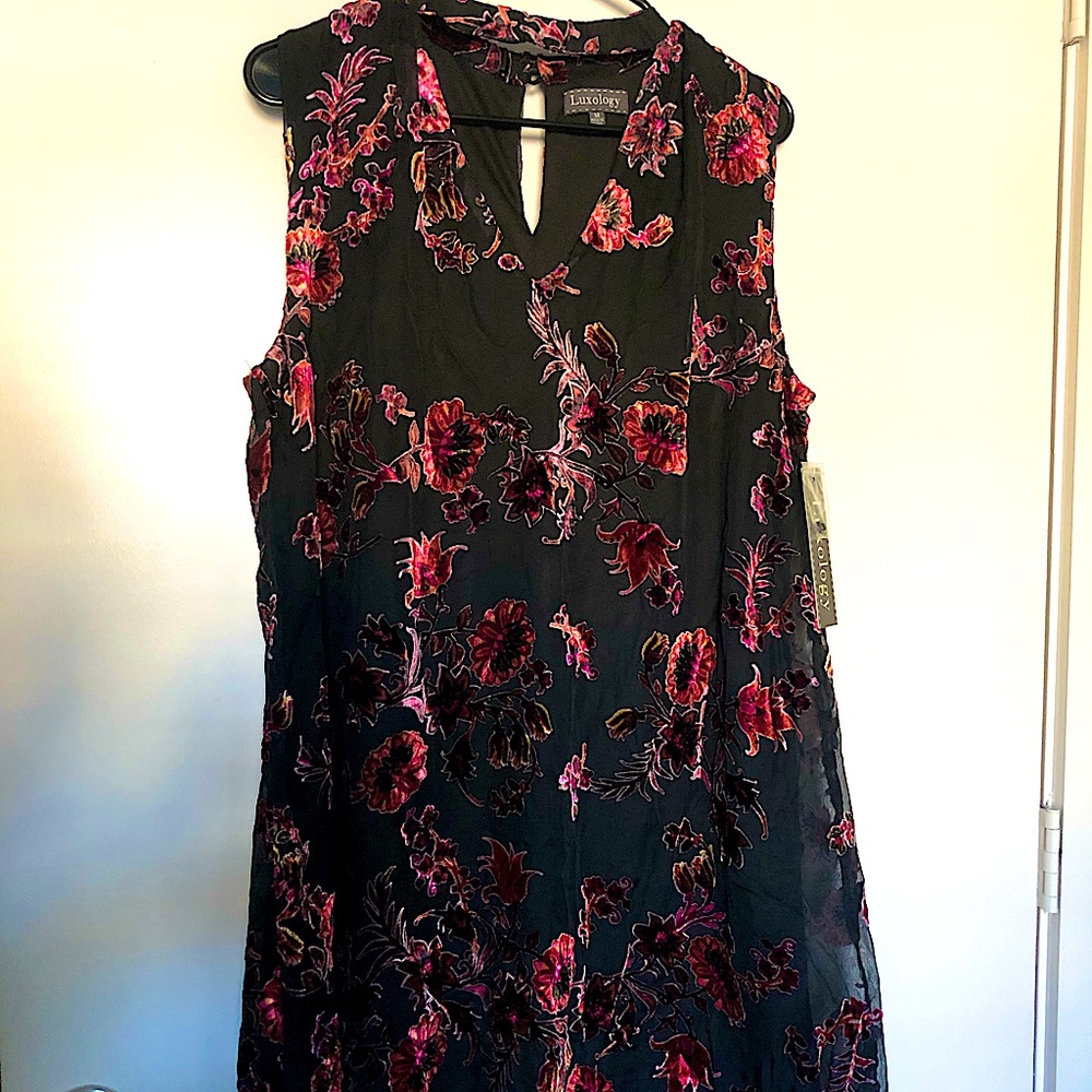 NWT Luxology Shift Dress with Collar